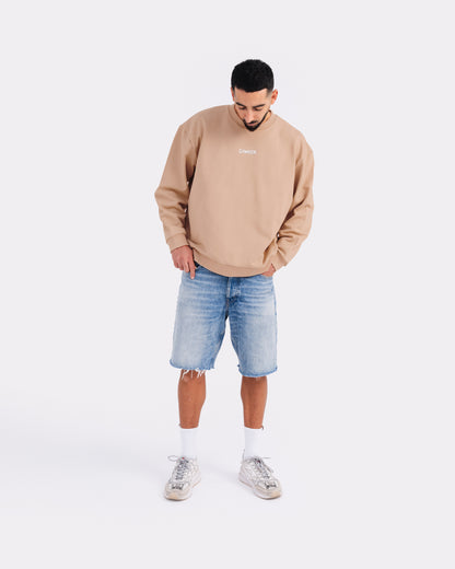 Taupe Crewneck Jumper